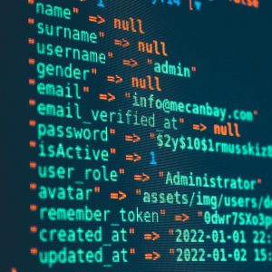 Password Guardian